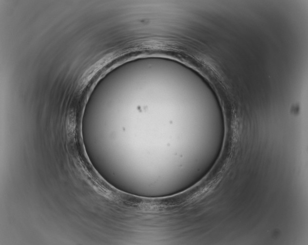 X0000116391065200912161519