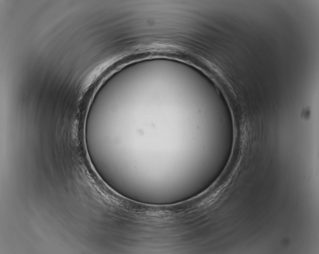 X0000116391066200912161519