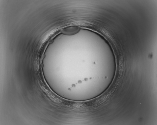 X0000116391067200912161519