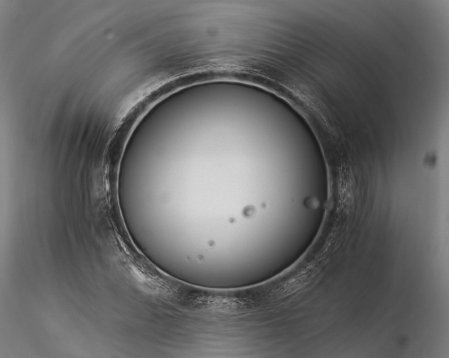 X0000116391070200912161519