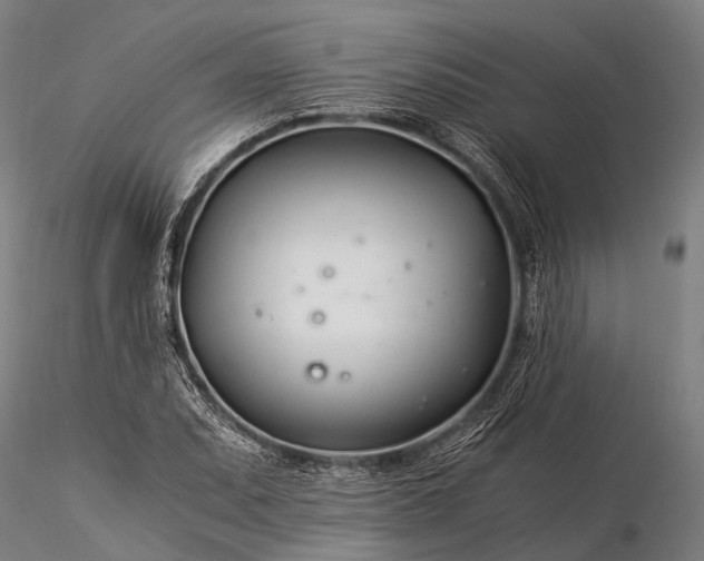 X0000116391071200912161519
