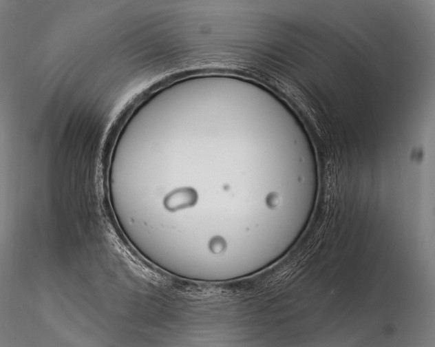 X0000116391072200912161519