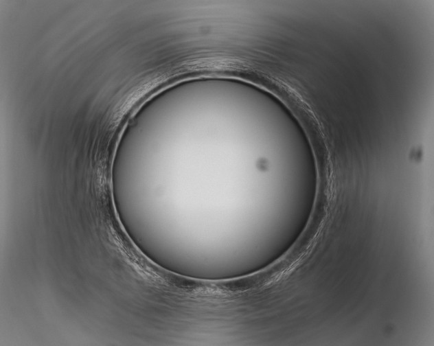 X0000116391073200912161519