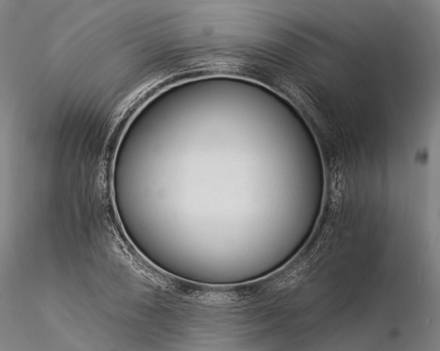 X0000116391074200912161519