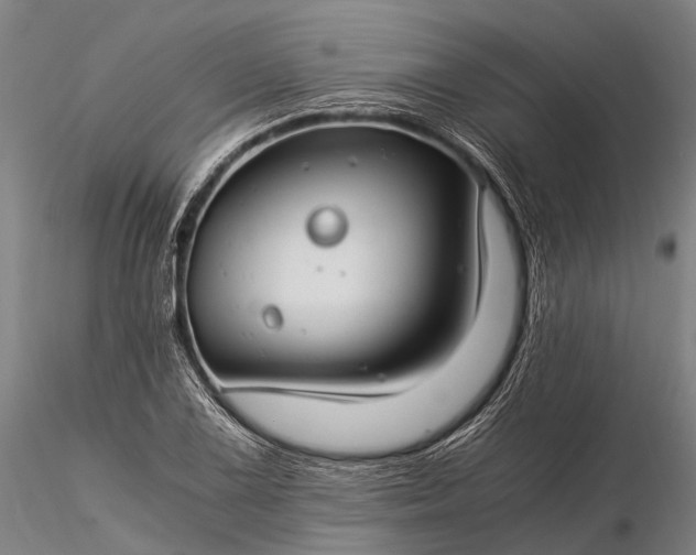 X0000116391075200912161519