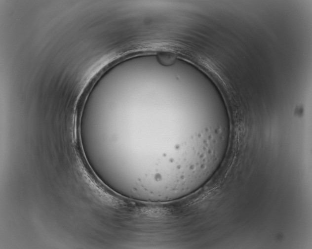 X0000116391079200912161519