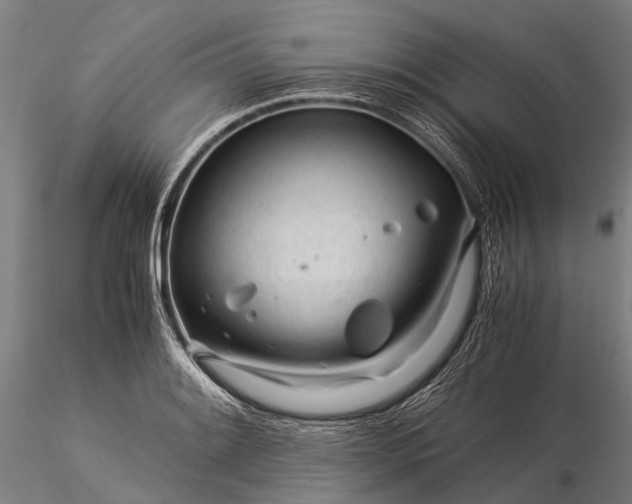 X0000116391084200912161519