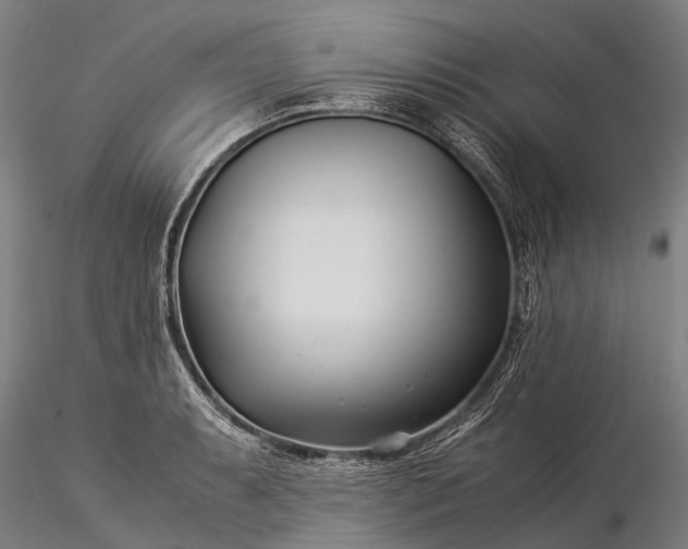 X0000116391087200912161519