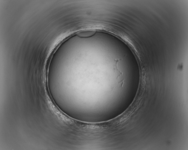 X0000116391088200912161519