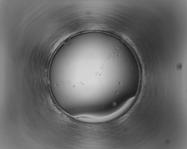 X0000116391089200912161519