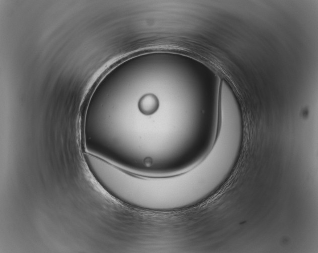 X0000116391092200912161519