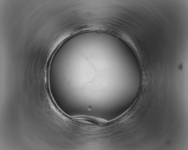 X0000116391095200912161518