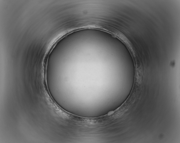 X0000116391096200912161518