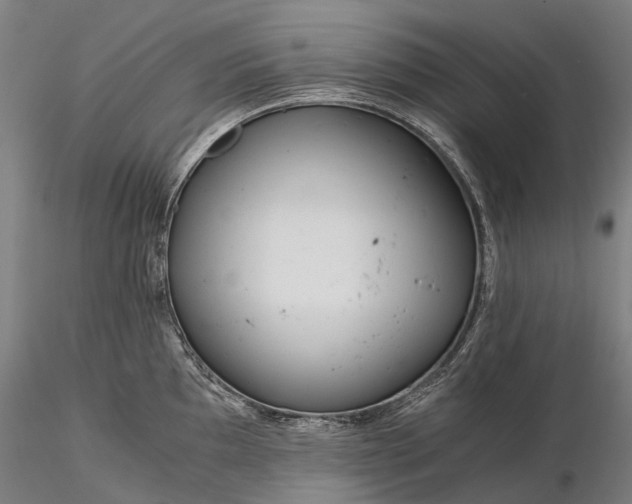 X0000116391097200912161518