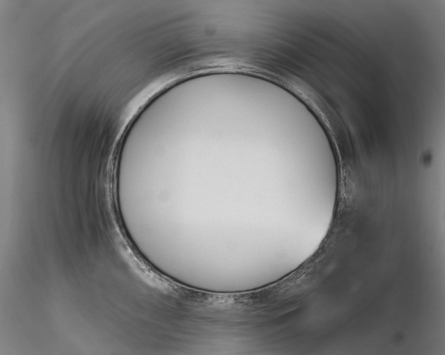 X0000116391098200912161518