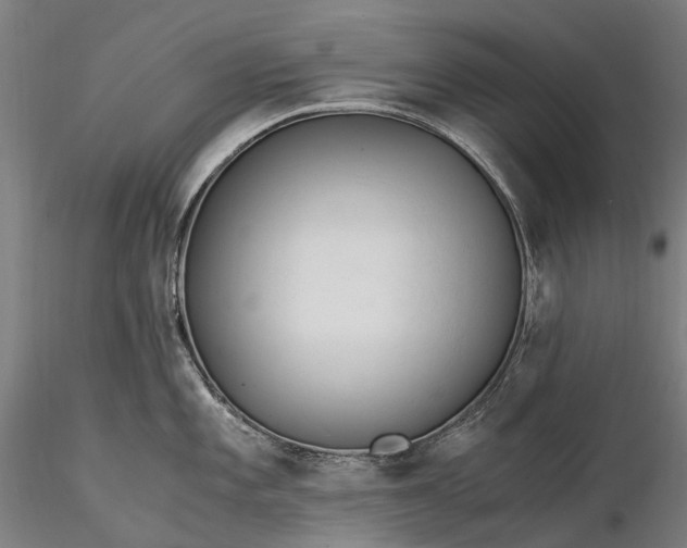X0000116391101200912161518