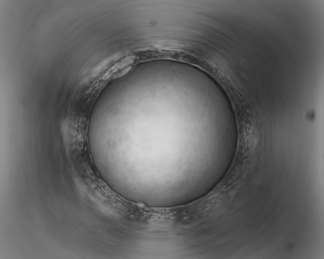 X0000116391110200912161518