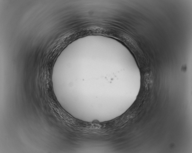 X0000116391111200912161518