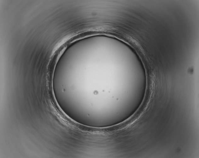 X0000116391114200912161518