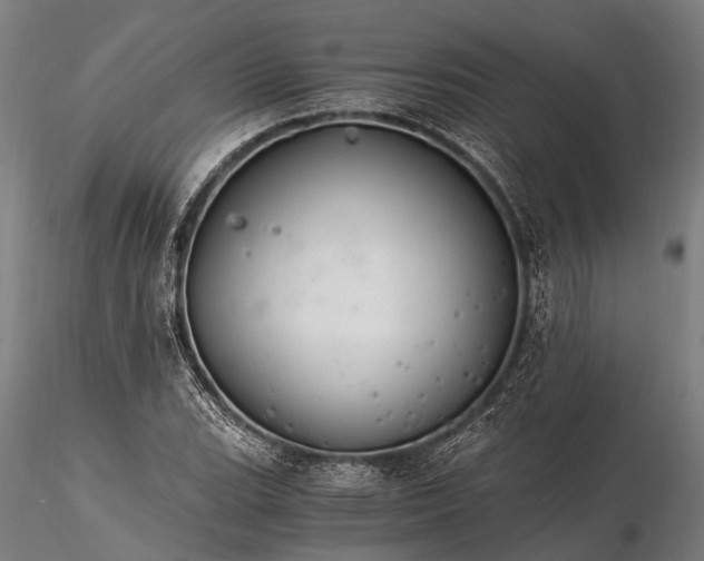 X0000116391119200912161518