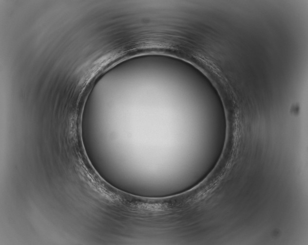 X0000116391121200912161518
