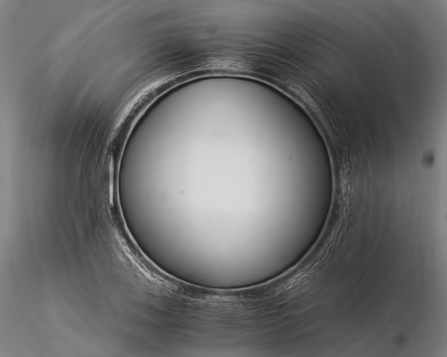 X0000116391123200912161518