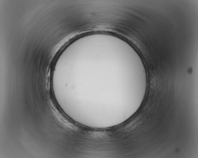 X0000116391126200912161518
