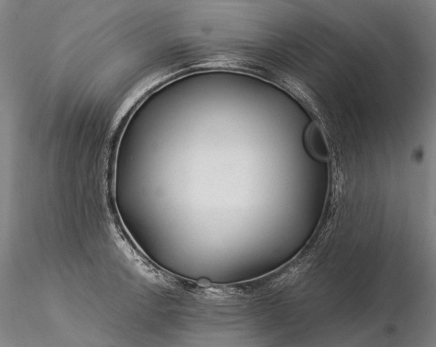 X0000116391138200912161518