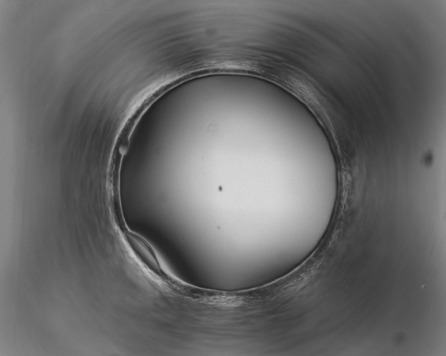 X0000116391141200912161518