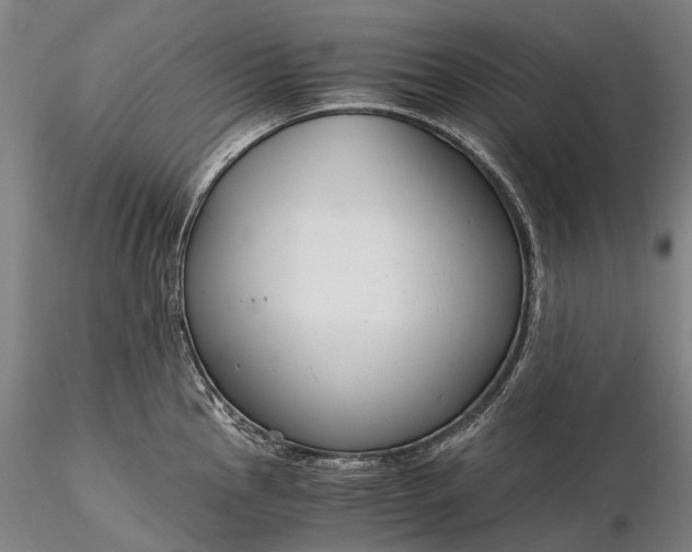 X0000116391145200912161518