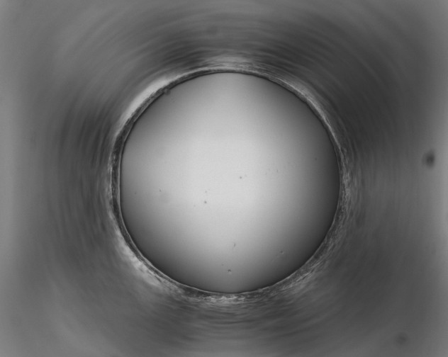 X0000116391147200912161518