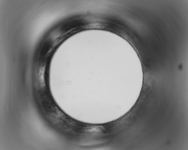 X0000116391150200912161518
