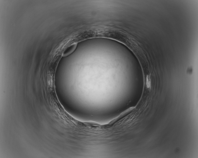X0000116391155200912161518