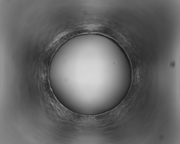 X0000116391158200912161518