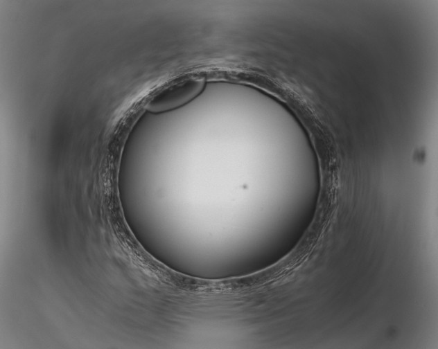 X0000116391159200912161517