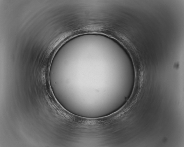 X0000116391162200912161517