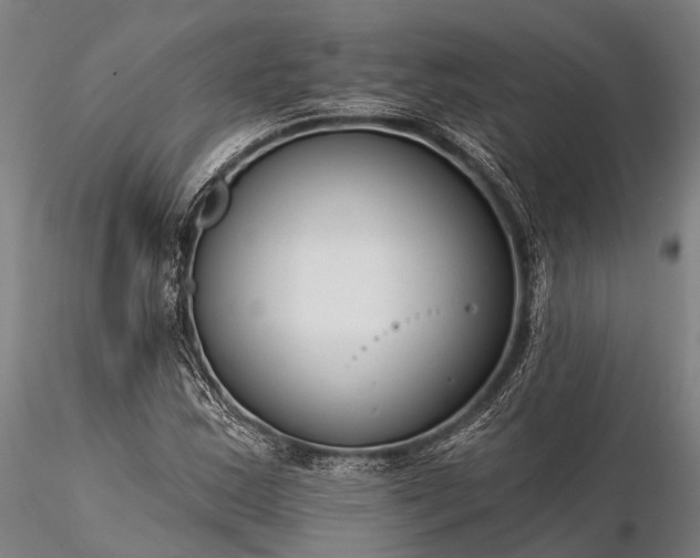 X0000116391163200912161517