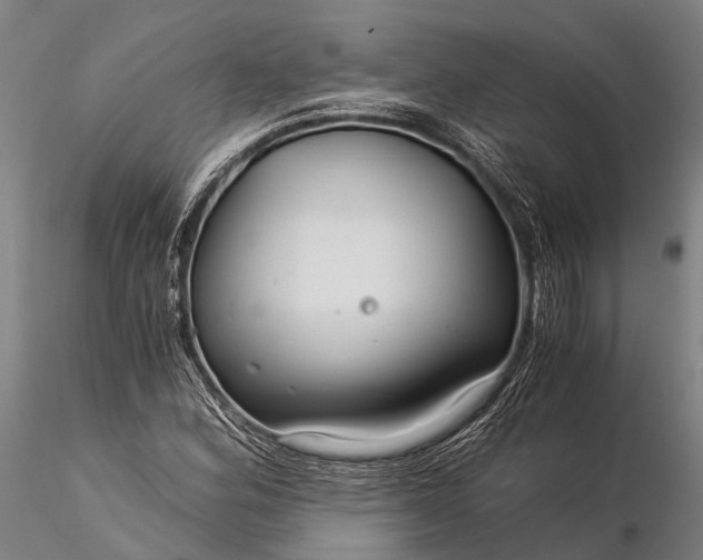 X0000116391164200912161517