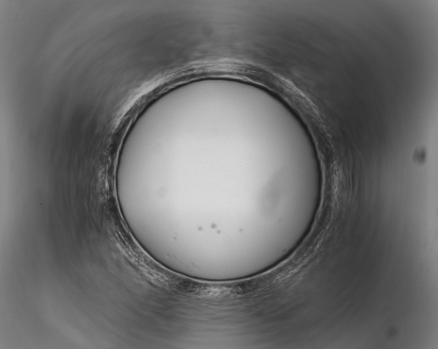 X0000116391166200912161517
