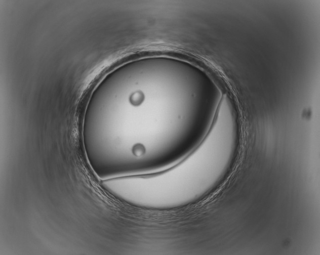 X0000116391167200912161517