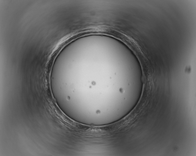 X0000116391168200912161517