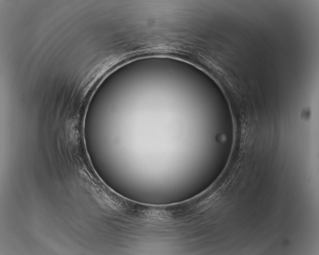 X0000116391170200912161517