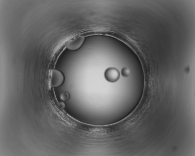 X0000116391171200912161517