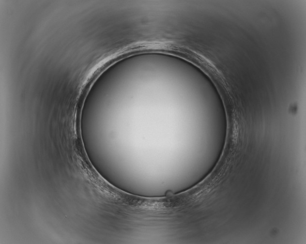 X0000116391174200912161517