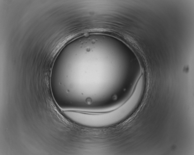 X0000116391177200912161517