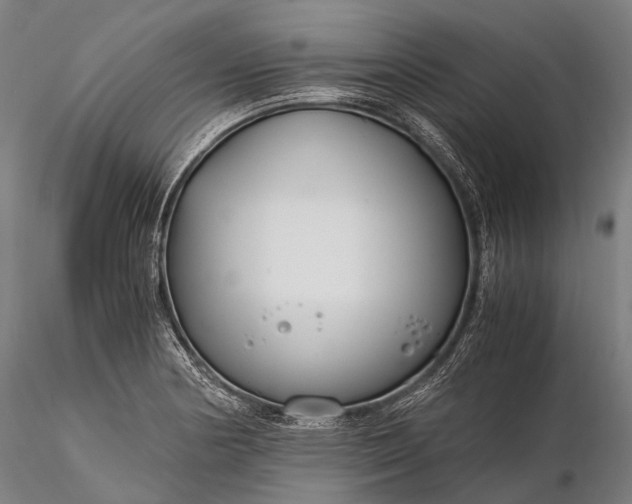 X0000116391178200912161517