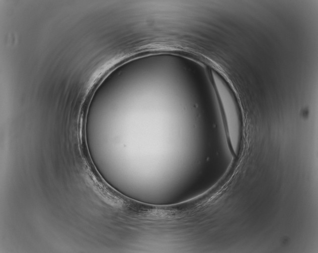 X0000116391179200912161517