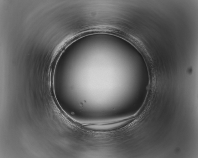 X0000116391180200912161517
