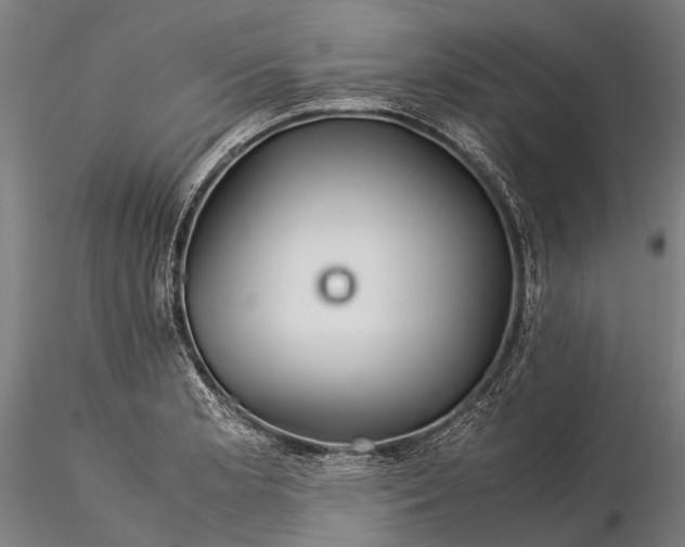 X0000116391181200912161517