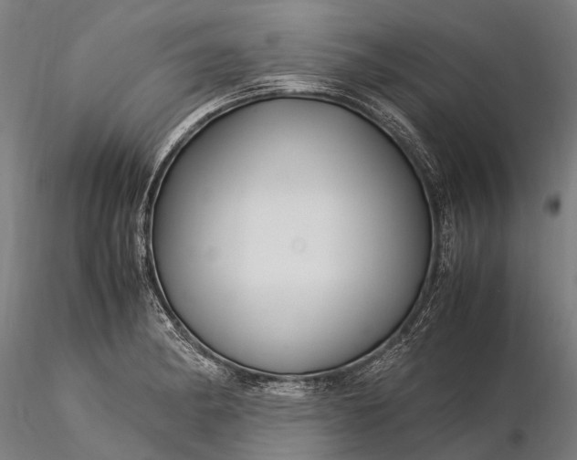 X0000116391182200912161517